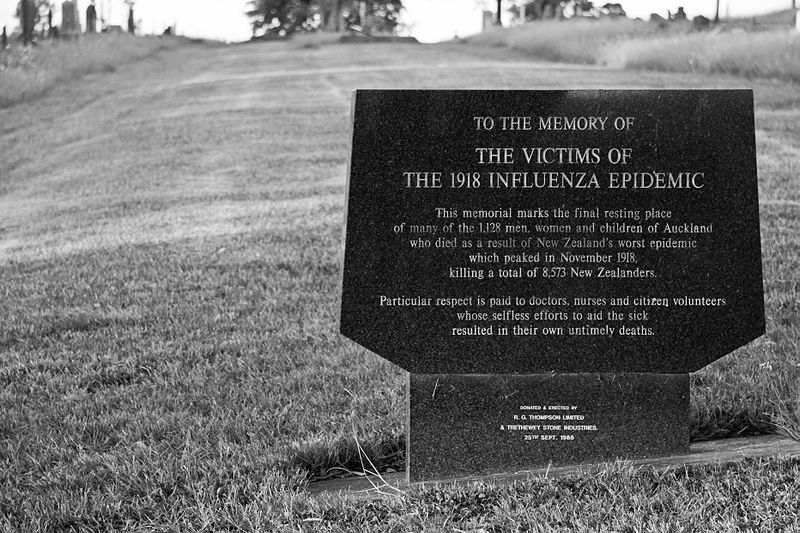 1918 Influenza Epidemic Site