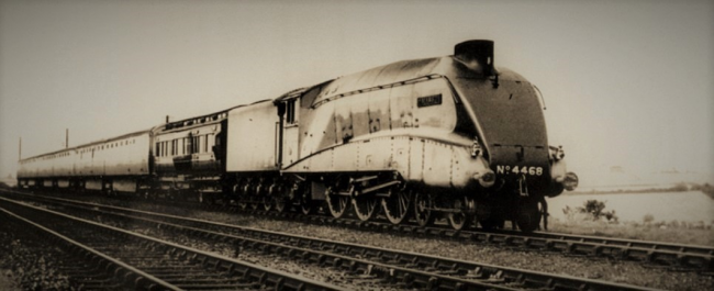 The Mallard