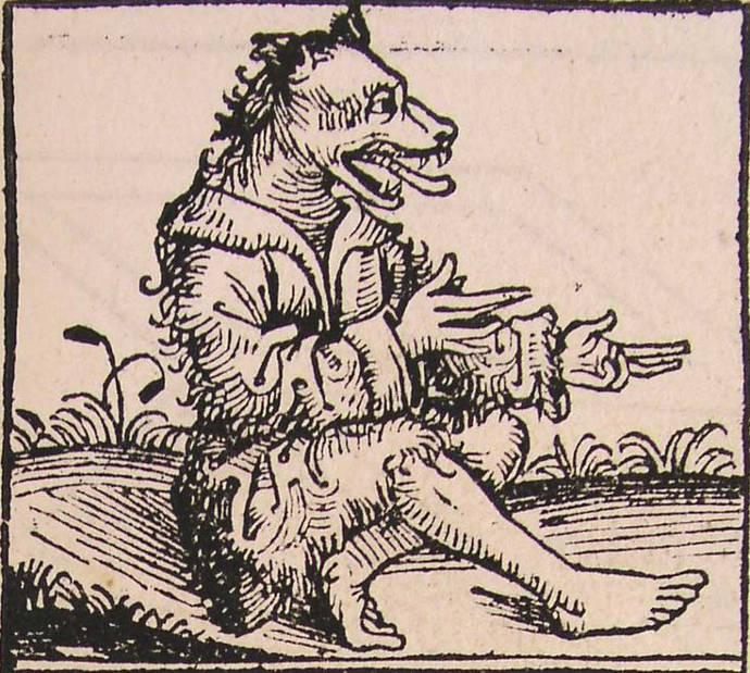cynocephaly