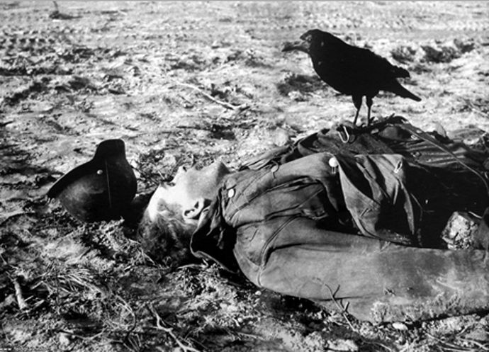 dead-w-crow