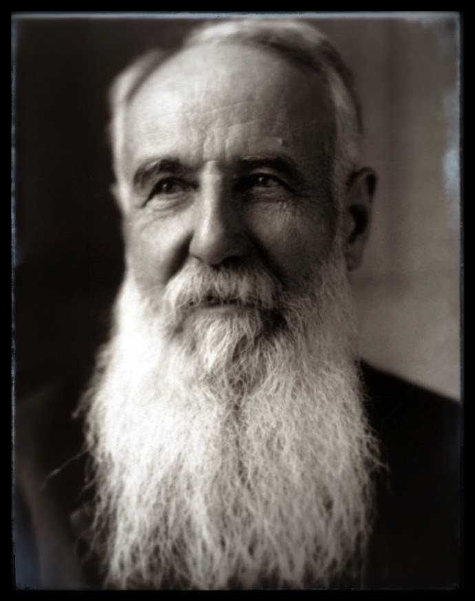 nikola-pasic