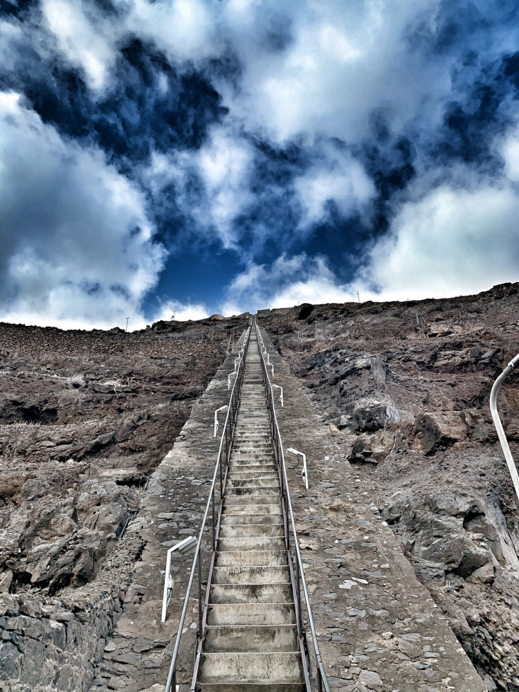 Jacob's Ladder